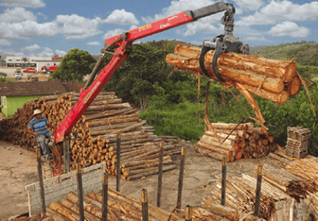 Producton Loaders Forestry C-L 2